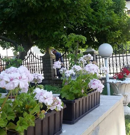 Apartman Zara Daire *
