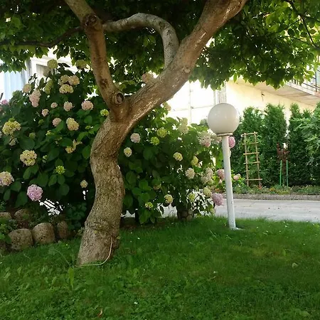 Apartman Zara Daire Bihać
