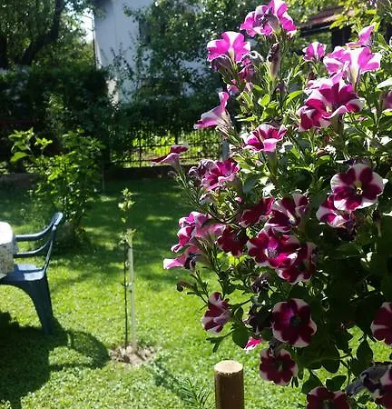 Apartman Zara Bihać