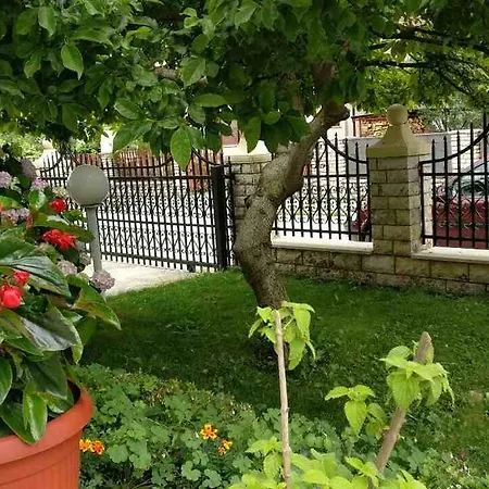 Apartman Zara Daire