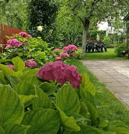 Apartman Zara Daire Bihać