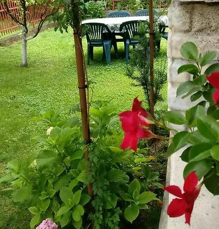 Daire Apartman Zara Bihać