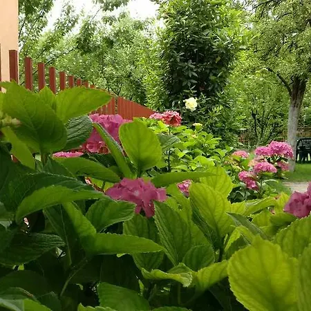 Apartman Zara Daire