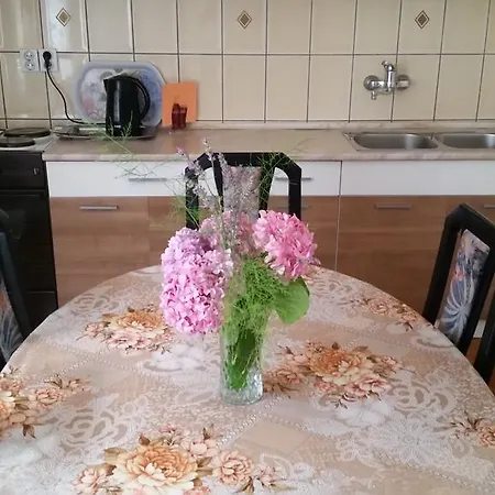 Apartman Zara Daire *