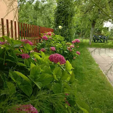 Daire Apartman Zara